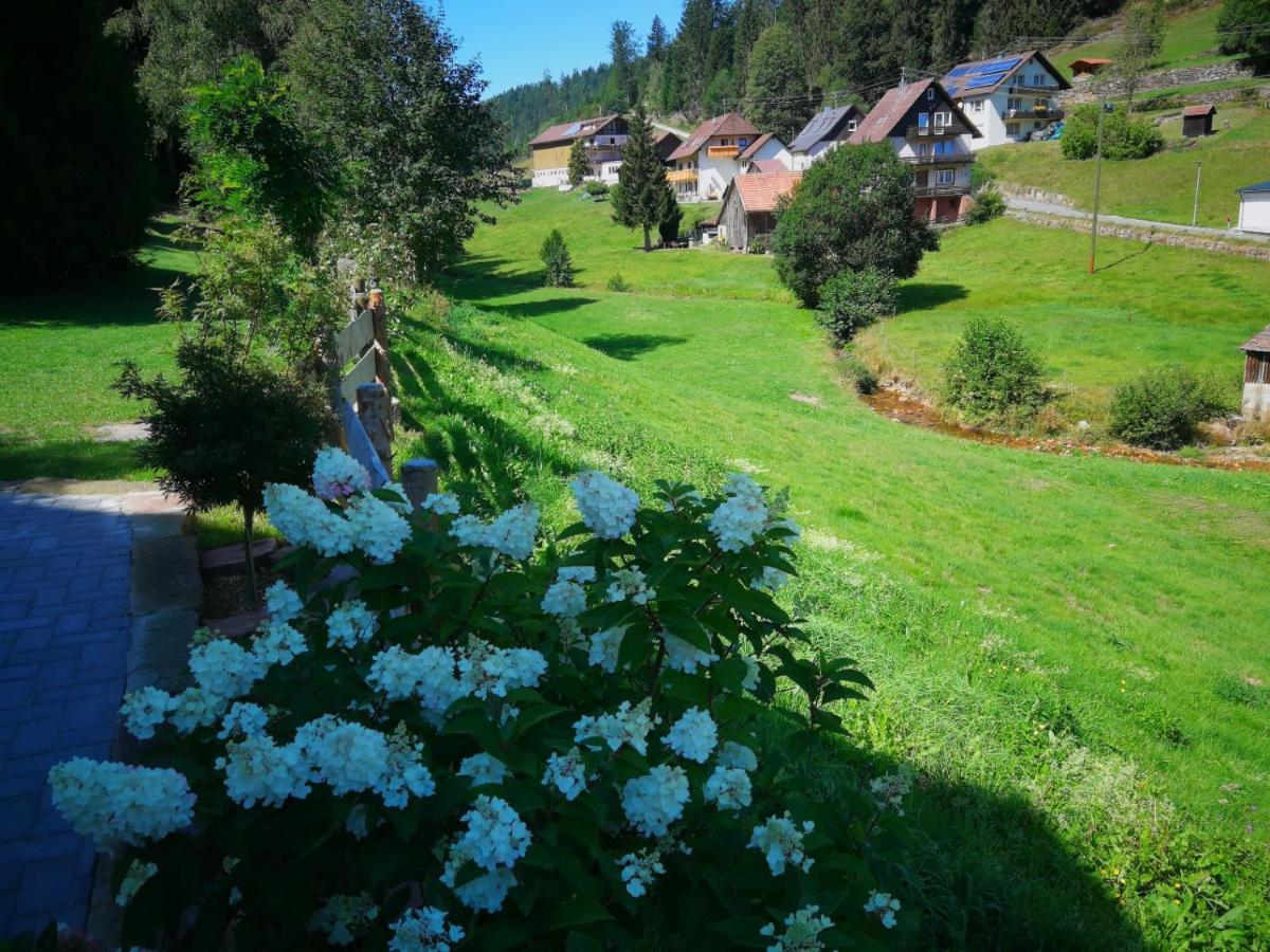 Ferienhaus Enzquelle Enzklösterle Eksteriør bilde
