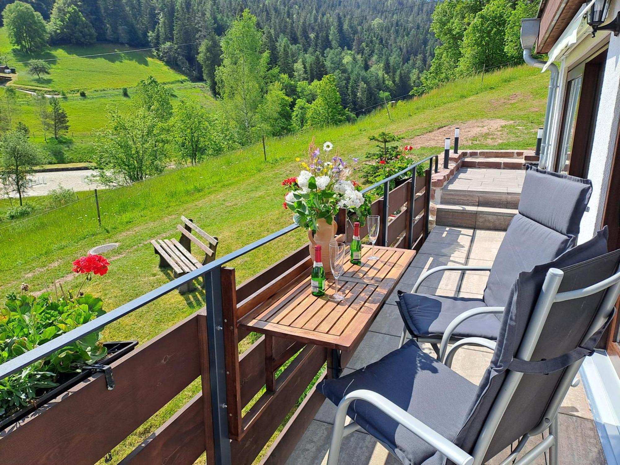 Ferienhaus Enzquelle Enzklösterle Rom bilde